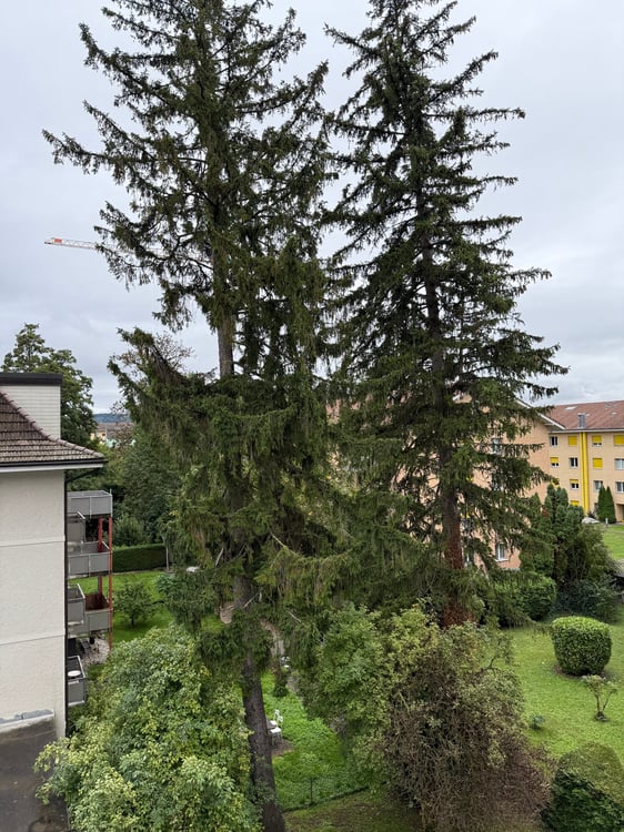 Frisch sanierte 1-Zimmerwohnung – zentral, modern & ideal für Singles oder Paare 10