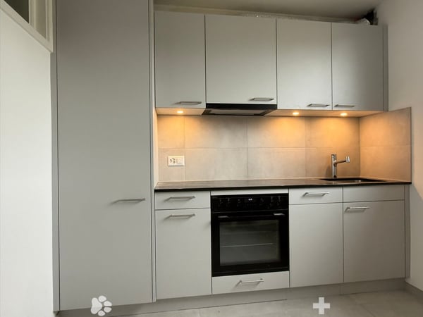 Top sanierte 1.5-Zimmer Dachwohnung im beliebten Mühlefeldquartier 1