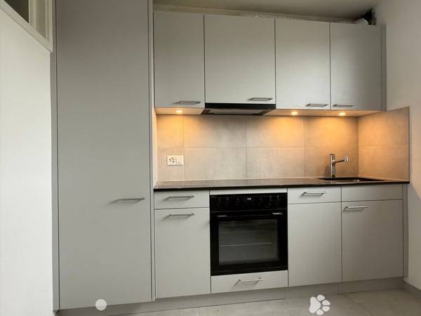 Top sanierte 1.5-Zimmer Dachwohnung im beliebten Mühlefeldquartier 1