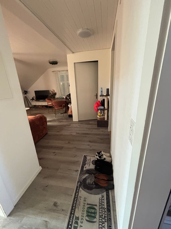 Charmante 3-Zimmer-Dachwohnung mit modernem Ausbau in Biel 5