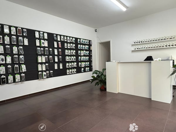 Attraktive Gewerbefläche an bester Zentrumslage in Biel 2