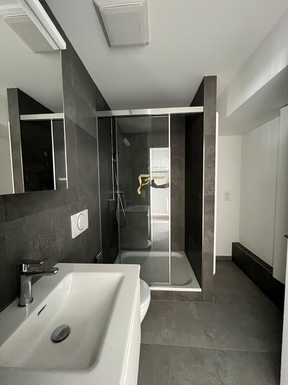 Moderne 2.5-Zimmer-Wohnung an zentraler Lage in Biel 3