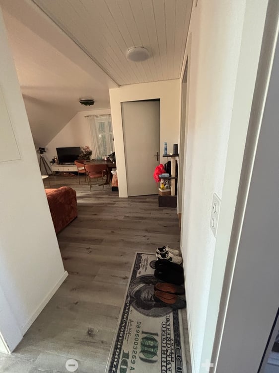 Charmante 3-Zimmer-Dachwohnung mit modernem Ausbau in Biel 5