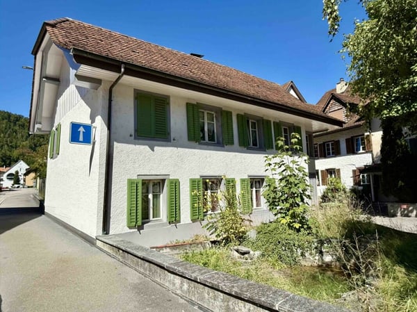 Wohnglück mit zusätzlicher Ausbauoption 3