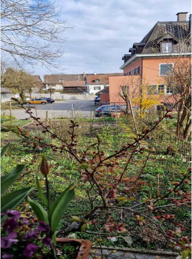 Charmantes 5-Zimmerhaus mit Gartenidylle im alten Dorfkern von Feldmeilen 8
