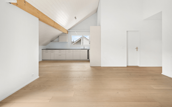 neu ausgebaute 3.5-Zimmer-Dach-Wohnung nähe Naherholungsgebiet 1