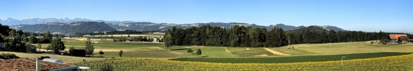 Exklusives 5½-Zimmer-Terrassenhaus mit Weitsicht 5