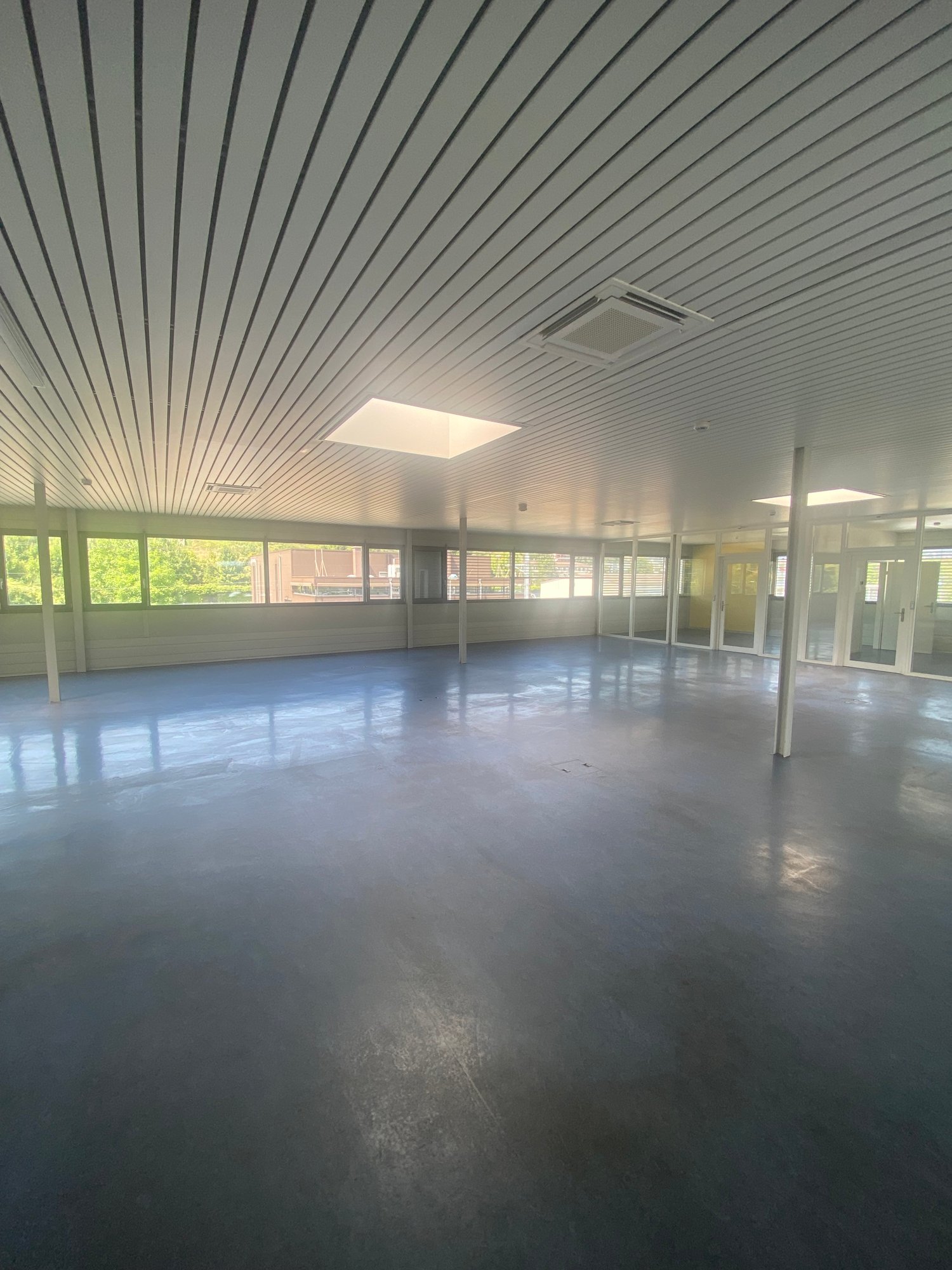wide open room, white ceilings, concrete floor, large windows, skylight
