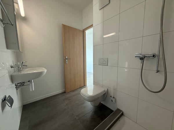 Magnifique appartement en attique de 5.5 pièces  – Vue exceptionnelle et prestations haut de gamme 11