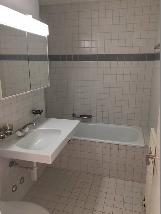 Gemütliche Wohnung in Zürich Höngg zu vermieten! 6