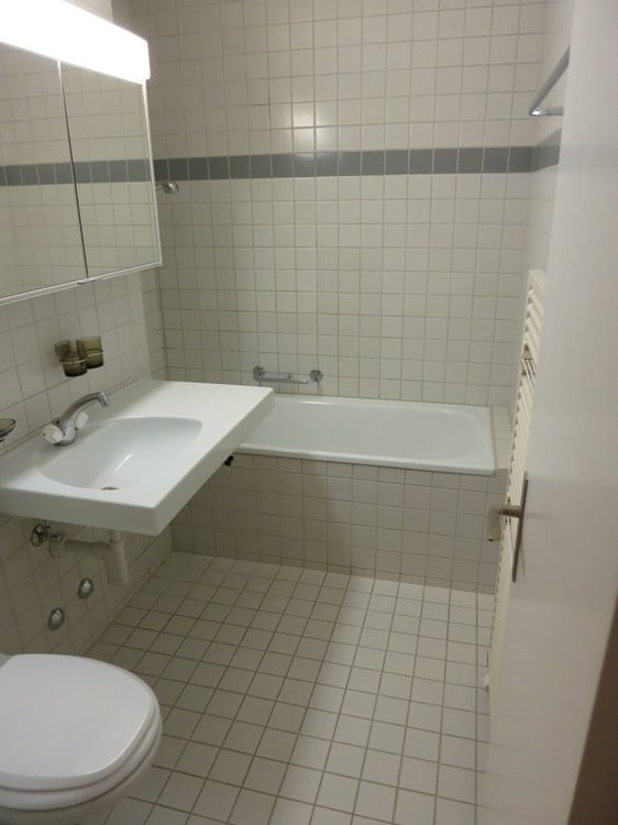 Ihr Rückzugsort in Zürich Höngg 5