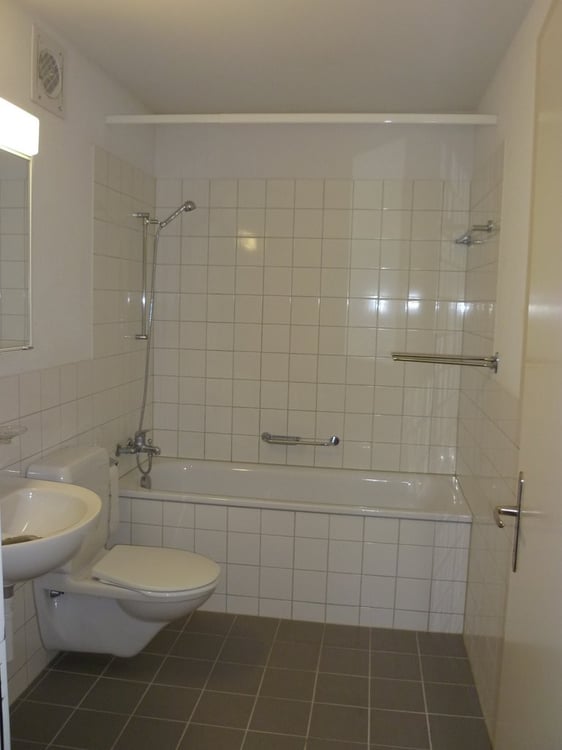 Helle Wohnung mit grosser Terasse 5