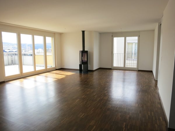 Attraktive Attikawohnung mit grosser Terrasse und Weitsicht 2
