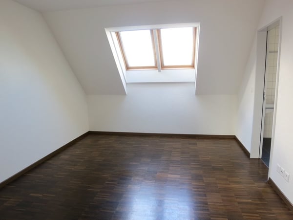 Attraktive Attikawohnung mit grosser Terrasse und Weitsicht 4