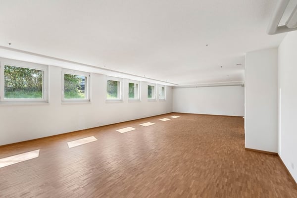 Gewerbefläche wenige Gehminuten vom Bahnhof Schwerzenbach 3