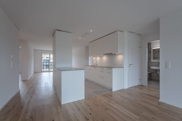 Grosszügige 4.5-Zimmerwohnung in Brüttisellen 1