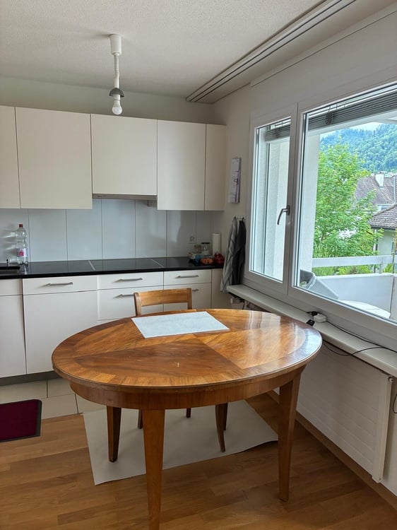 Wohnen mit Sicht auf den Uetliberg 4