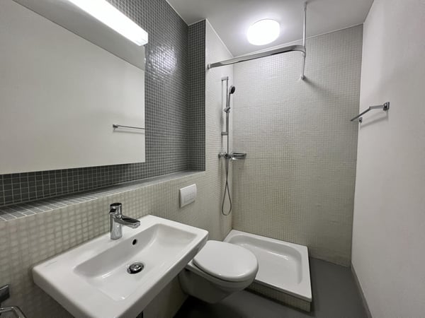 4.5-Zimmerwohnung in Wülflingen zu vermieten 4