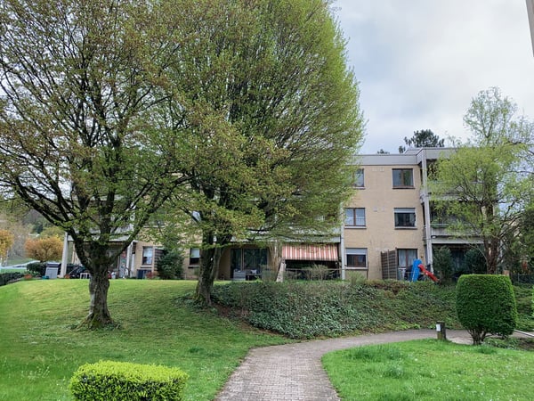 Gemütliche 2.5 Zimmerwohnung mit Cheminée und Sitzplatz im Grünen
