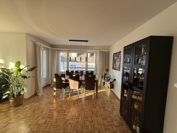3 ½ Zimmer-Attikawohnung, 8004 Zürich 3