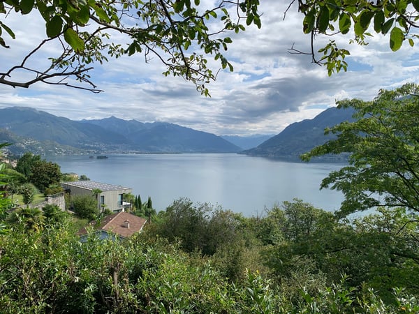 Wiesen- und Waldgrundstück mit einmaliger Sicht in Brissago 1