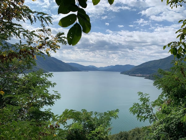 Wiesen- und Waldgrundstück mit einmaliger Sicht in Brissago 5