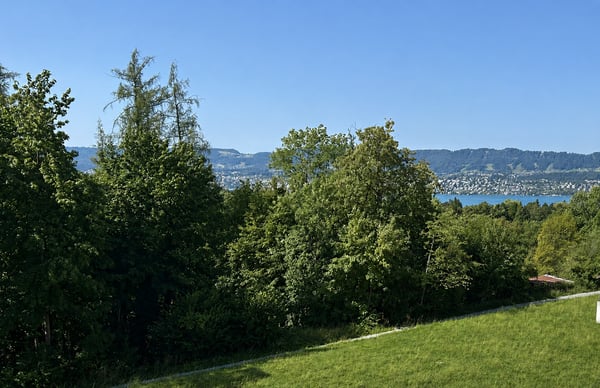 VITO Witikon: Zürichs Logenplatz 1