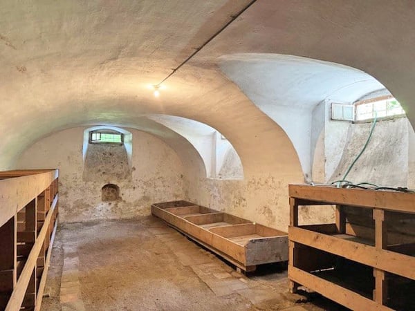 Grundstück mit altem Bauernhaus und viel Potential 11