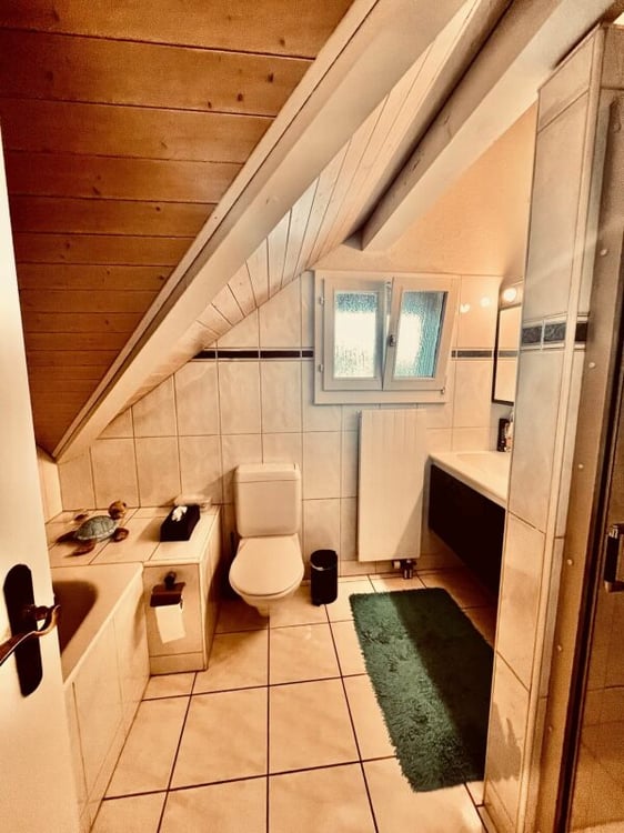 Charmante 4 1/2-Zimmer-Dachwohnung mit viel Cachet 5