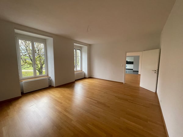 Charmante 1-Zimmer-Wohnung in historischem Gebäude in Baden 5