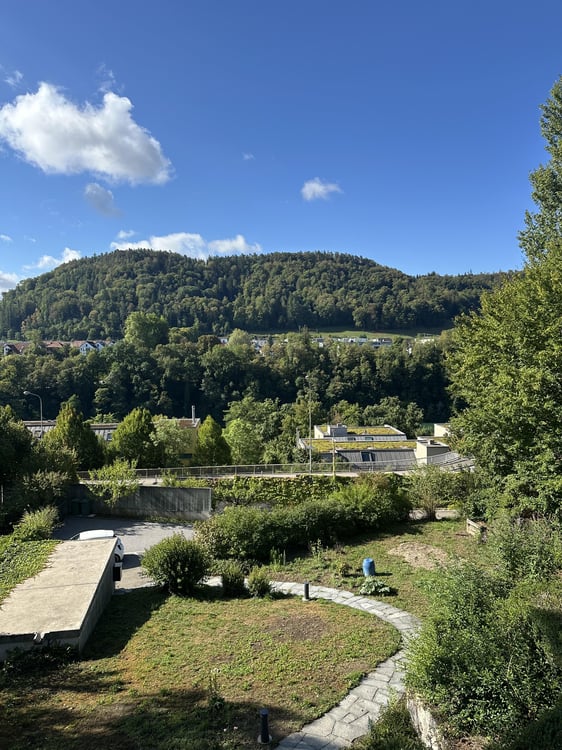 5.5 Zimmerwohnung in Eglisau 12
