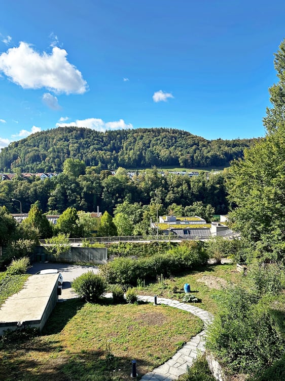Wohnen in Rheinnähe im schönen Eglisau 5