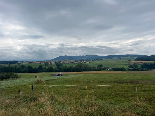 Villas neuves 1.5 pièces à Villorsonnens – Calme & nature 8