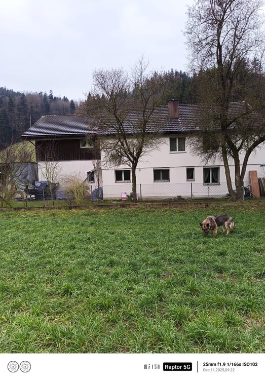 FÜR HANDWERKER? - EINFAMILIENHAUS MIT WERKSTÄTTLI! 2