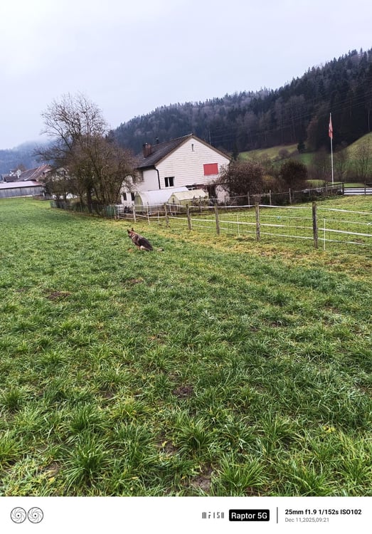 FÜR HANDWERKER? - EINFAMILIENHAUS MIT WERKSTÄTTLI! 1
