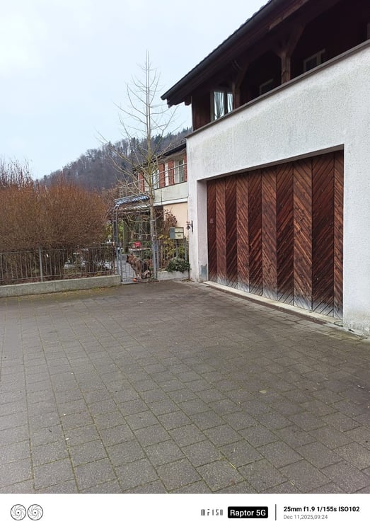 FÜR HANDWERKER? - EINFAMILIENHAUS MIT WERKSTÄTTLI! 5