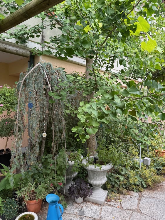 FÜR HANDWERKER? - EINFAMILIENHAUS MIT WERKSTÄTTLI! 7