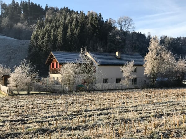 FÜR HANDWERKER? - EINFAMILIENHAUS MIT WERKSTÄTTLI! 3