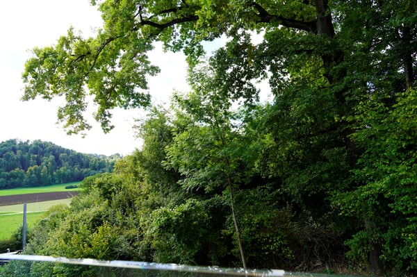 Besichtigungen täglich möglich! 3