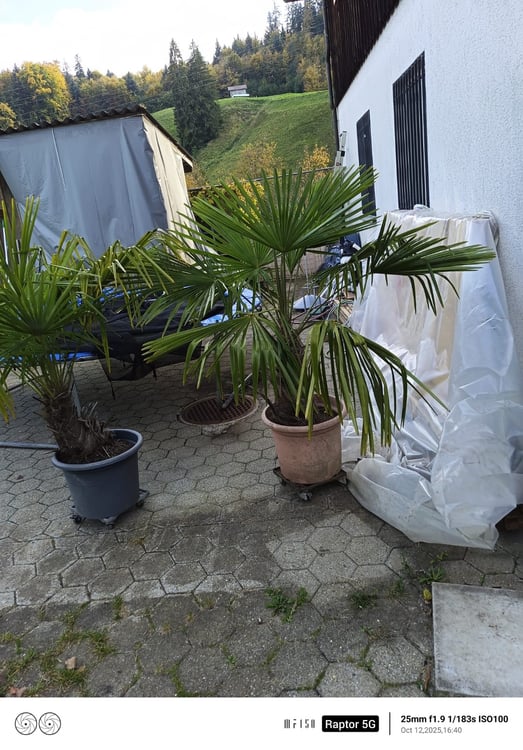 Sehr geräumiges Haus mit Werkstättli-Besichtigung jederzeit möglich! 11