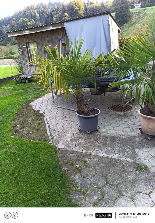 Sehr geräumiges Haus mit Werkstättli-Besichtigung jederzeit möglich! 12