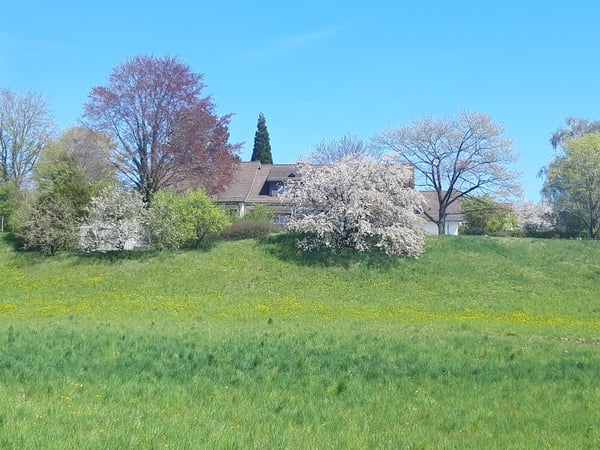 Mehr-Generationen-Villa mit viel Platz und grossem Umschwung! 7