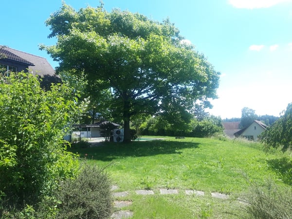 Mehr-Generationen-Villa mit viel Platz und grossem Umschwung! 2