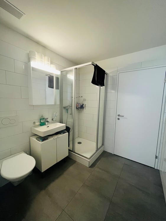 Modernes Wohnen in Winterthur 6