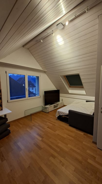 Moderne Doppelhaushälfte in Turbenthal 6