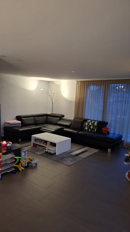 Moderne Doppelhaushälfte in Turbenthal 3