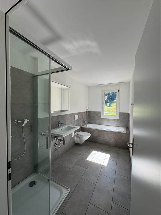 Moderne Wohnung mit zwei grossen Dachterrassen 5