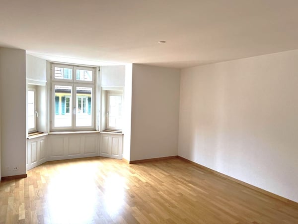 Wohnen beim Löwen Center Luzern - Grosszügige, helle 2.5 Zimmer Wohnung zu mieten 2