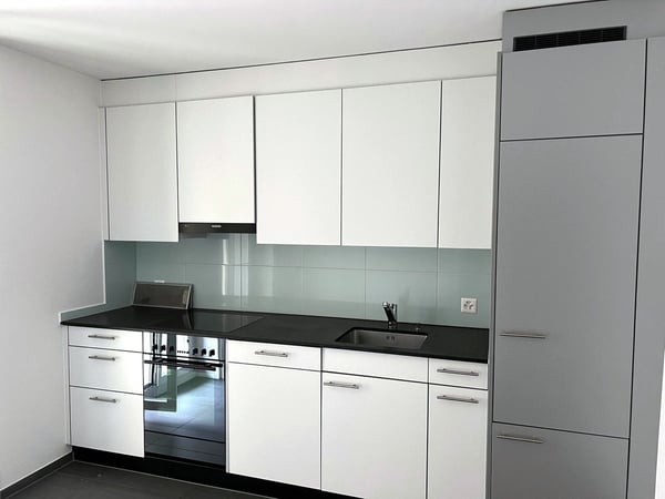 Wohnen beim Löwen Center Luzern - Grosszügige, helle 2.5 Zimmer Wohnung zu mieten 5