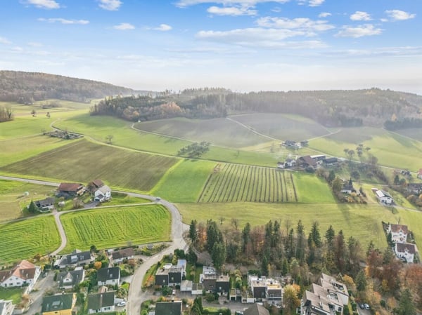 Familienfreundliches 1.5-Zimmer-Einfamilienhaus in Bonstetten 2